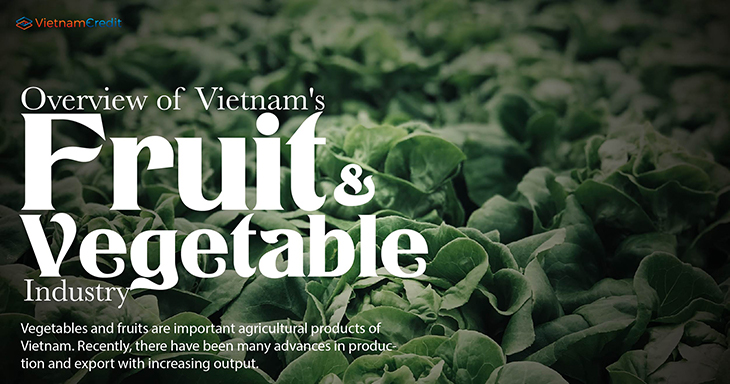 Overview of Vietnam's fruit and vegetable industry